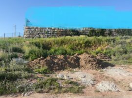 Imagen de WhatsApp 2025-02-04 a las 13.06.13_c5ecbd46